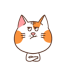 パンパンおっさん猫の日常（個別スタンプ：1）