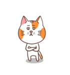 パンパンおっさん猫の日常（個別スタンプ：2）