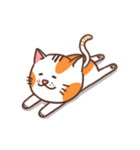 パンパンおっさん猫の日常（個別スタンプ：4）