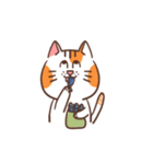 パンパンおっさん猫の日常（個別スタンプ：6）