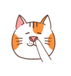 パンパンおっさん猫の日常（個別スタンプ：17）