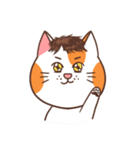 パンパンおっさん猫の日常（個別スタンプ：18）