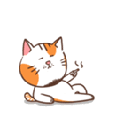 パンパンおっさん猫の日常（個別スタンプ：20）