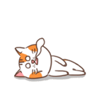 パンパンおっさん猫の日常（個別スタンプ：23）