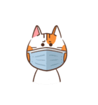 パンパンおっさん猫の日常（個別スタンプ：37）