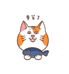 パンパンおっさん猫の日常（個別スタンプ：40）