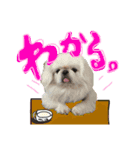 ちょこあぽ（個別スタンプ：3）