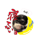 ちょこあぽ（個別スタンプ：4）