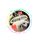 ちょこあぽ（個別スタンプ：7）