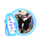 ちょこあぽ（個別スタンプ：8）