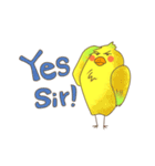 Banana Bird.tw（個別スタンプ：11）