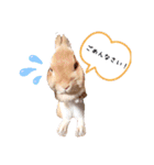 みぃたん1（個別スタンプ：3）