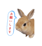 みぃたん1（個別スタンプ：5）