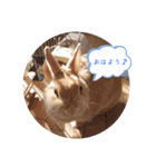みぃたん1（個別スタンプ：6）