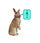 みぃたん1（個別スタンプ：9）