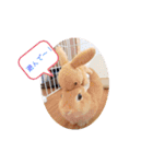 みぃたん1（個別スタンプ：11）