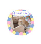 みぃたん1（個別スタンプ：12）
