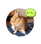 みぃたん1（個別スタンプ：13）