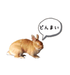 みぃたん1（個別スタンプ：17）
