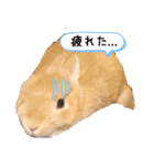 みぃたん1（個別スタンプ：19）
