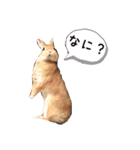 みぃたん1（個別スタンプ：22）