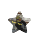 優しいインコちゃん♪（個別スタンプ：2）
