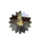 優しいインコちゃん♪（個別スタンプ：3）