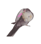 優しいインコちゃん♪（個別スタンプ：6）