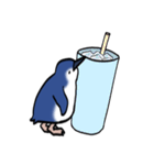 コガタペンギン（個別スタンプ：14）