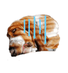 BOW犬（個別スタンプ：7）