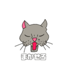 にゃーにゃー不機嫌な顔の猫（日本語）（個別スタンプ：5）