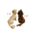 ダックス（日本語ver.）（個別スタンプ：6）