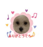 めりるでち❤️挨拶①（個別スタンプ：6）