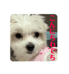 めりるでち❤️挨拶①（個別スタンプ：8）