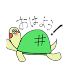 亀スタ  第1！（個別スタンプ：8）