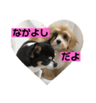 まるぷとすむちスタンプ2020（個別スタンプ：5）