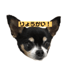 まるぷとすむちスタンプ2020（個別スタンプ：6）