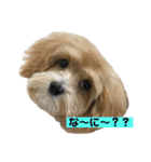 まるぷとすむちスタンプ2020（個別スタンプ：8）