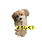 まるぷとすむちスタンプ2020（個別スタンプ：10）