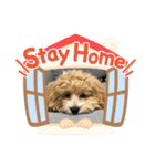 まるぷとすむちスタンプ2020（個別スタンプ：15）