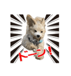 まるぷとすむちスタンプ2020（個別スタンプ：19）