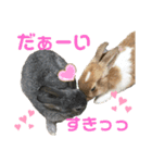 ハム＆クロ（個別スタンプ：4）