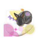 ハム＆クロ（個別スタンプ：5）