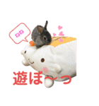 ハム＆クロ（個別スタンプ：6）