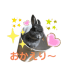 ハム＆クロ（個別スタンプ：8）