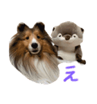 まいシェル（個別スタンプ：4）