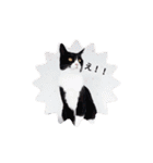 めんこいねこ（個別スタンプ：21）