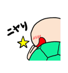 亀stamp（個別スタンプ：8）