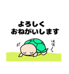 亀stamp（個別スタンプ：14）