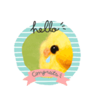 感情ひよこ（個別スタンプ：1）